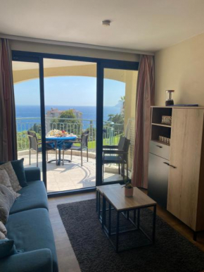 Cannes villa francia appt 4pers